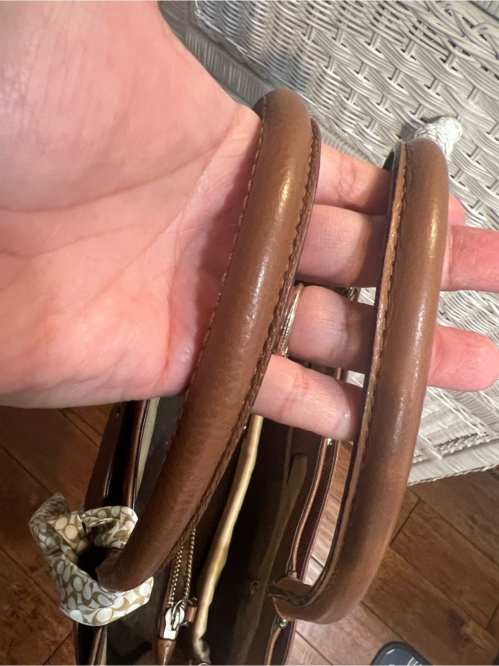 Coach Park Carryall Bag - Picture 11 of 16